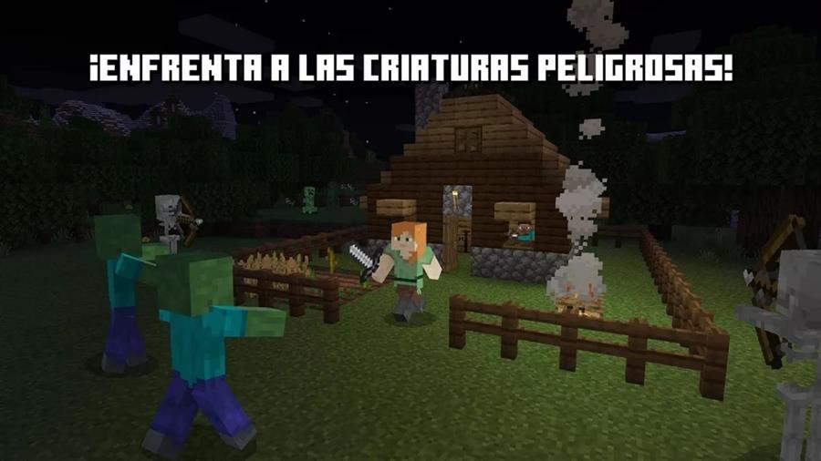 MINECRAFT SWITCH fisico