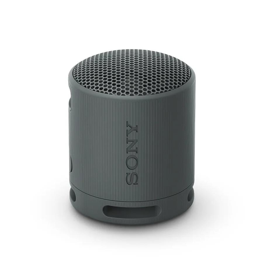 Parlante Sony SRS-XB100 (consultar colores disponibles)