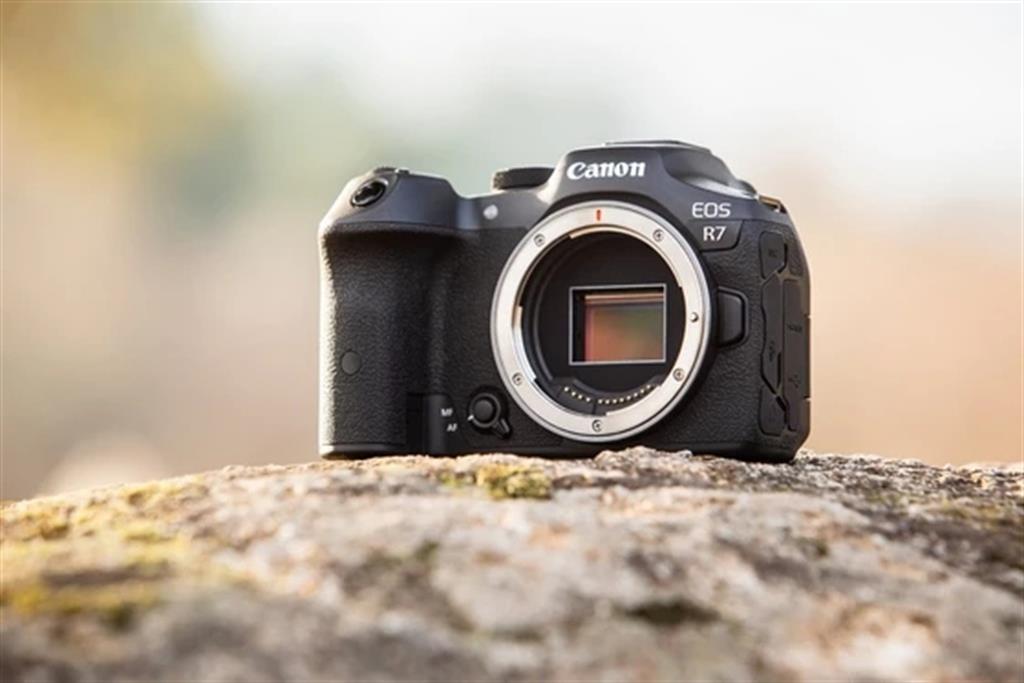 CANON R7 BODY